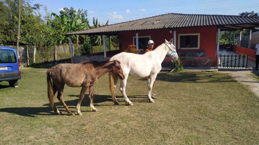 Clínica de Recuperação em Grajaú