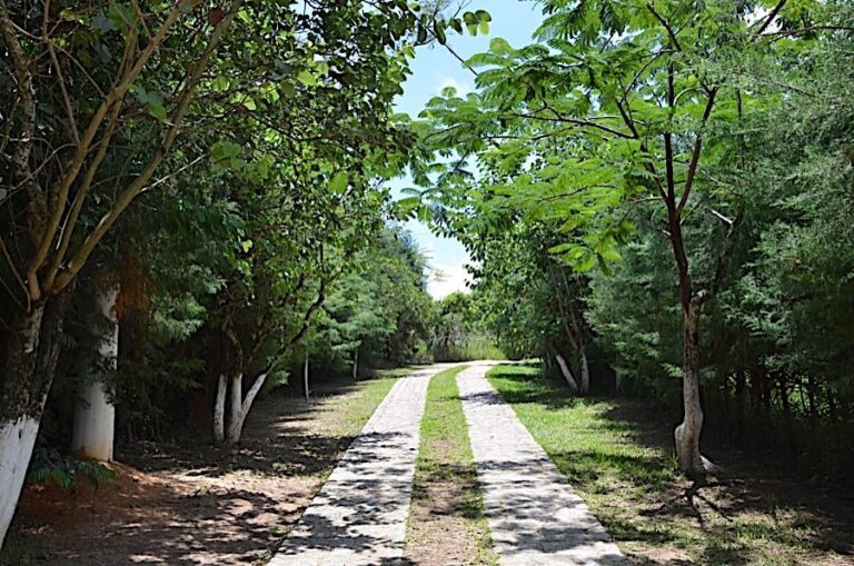 Clínica de Recuperação em Araçoiaba da Serra