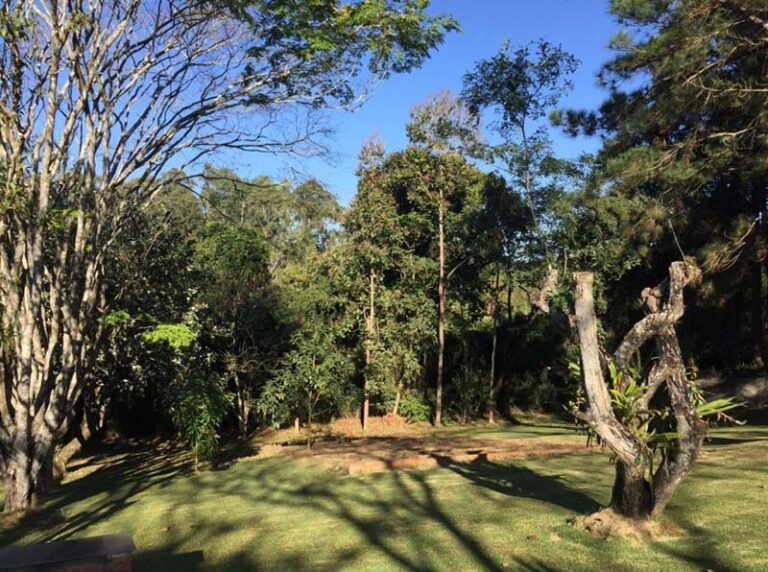 Clínica de Recuperação em Araçoiaba da Serra