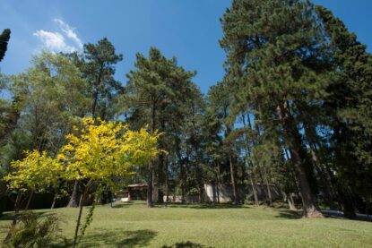 clinica de recuperacao em sao bernardo do campo - convenio medico