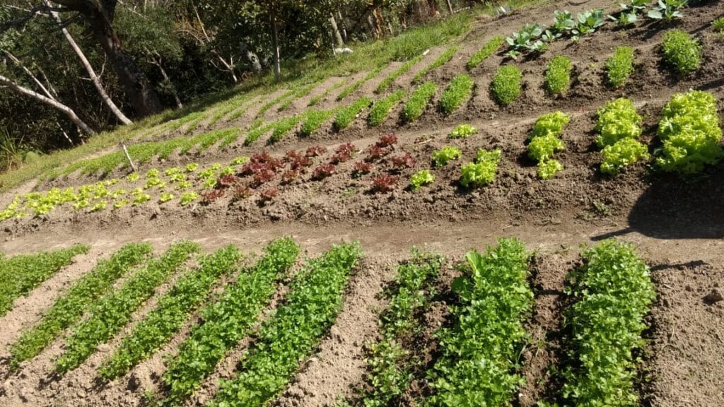 Clínica de Recuperação que aceita Convênio em Ibiuna