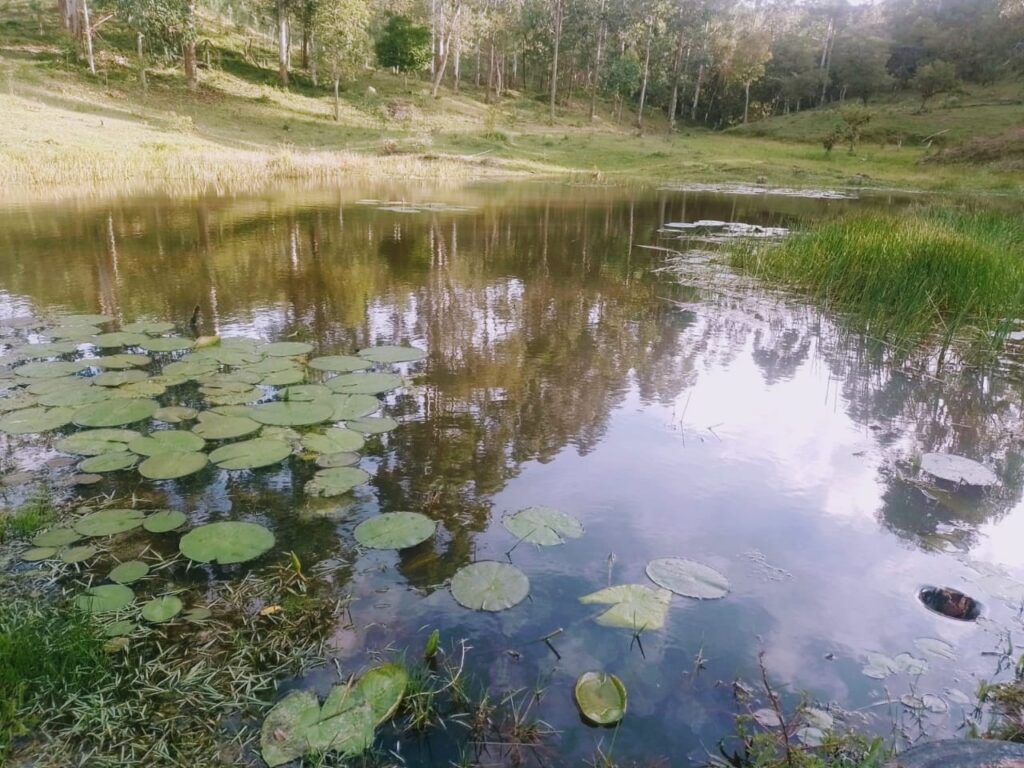 clinica de recuperacao em curitiba