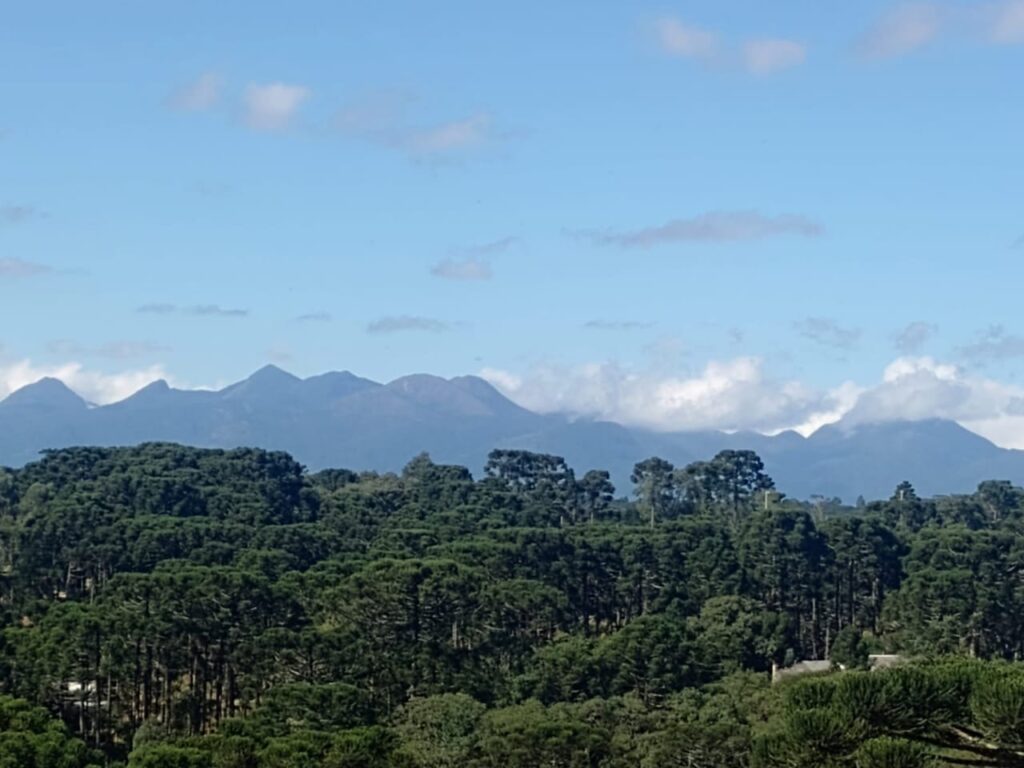 clinica de recuperacao em curitiba