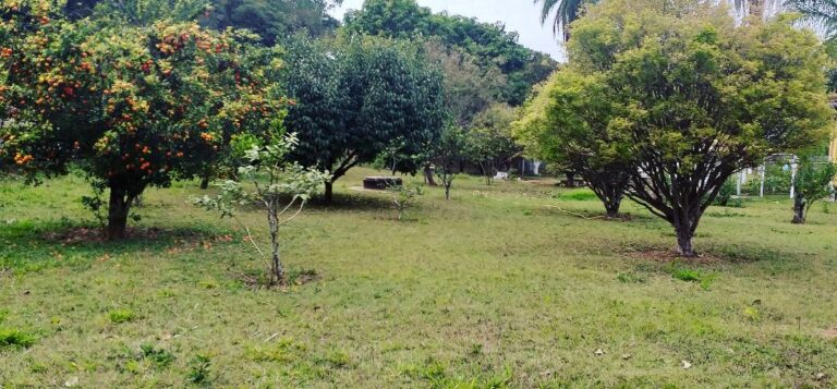 clinica de recuperacao em minas gerais - matheus leme - belo horizonte