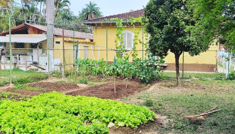 clinica de recuperacao em minas gerais - matheus leme - belo horizonte