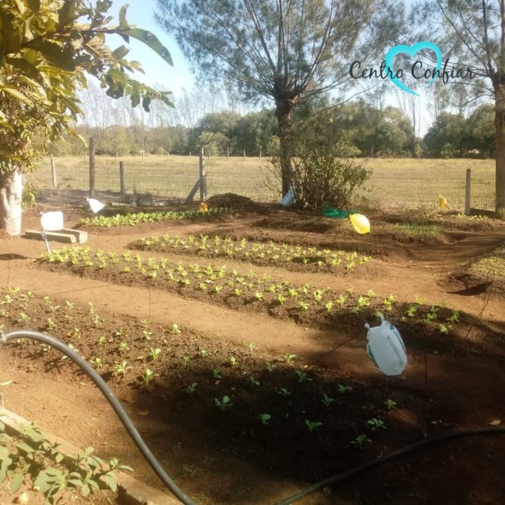 clinica de reabilitacao - balneario rincao - criciuma - sc